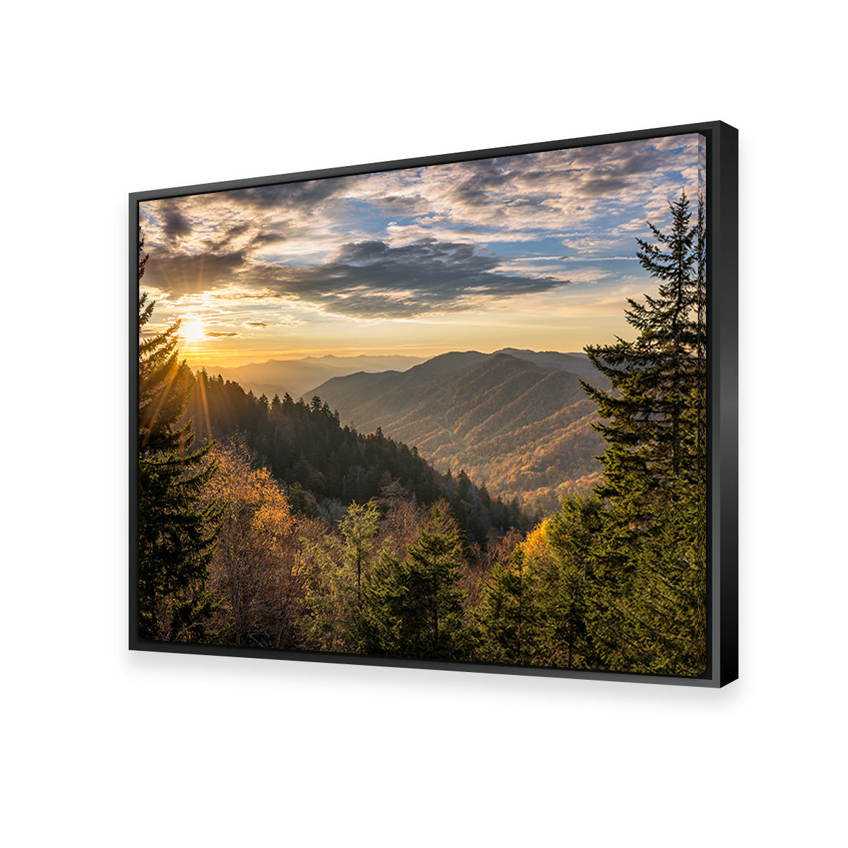 Smoky Mountains Wall Art