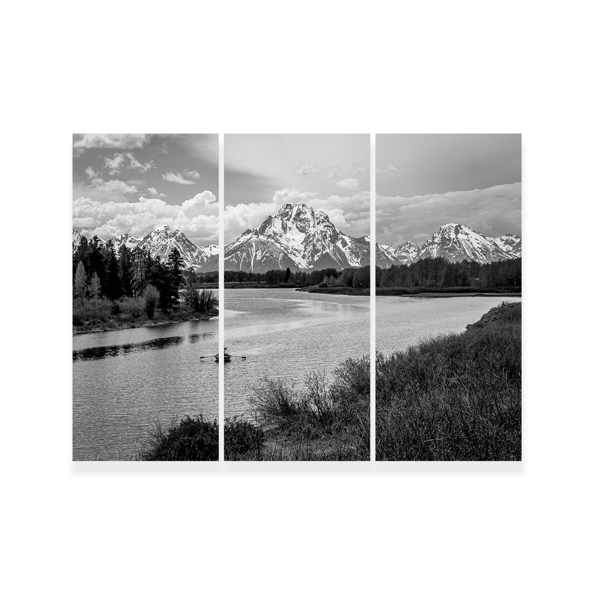 Snake River in the Grand Teton National Park Wall Art