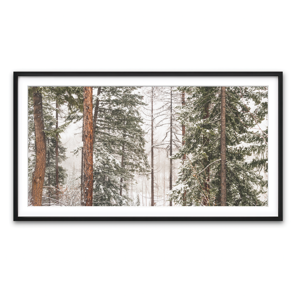 Framed Print 2x1 Black