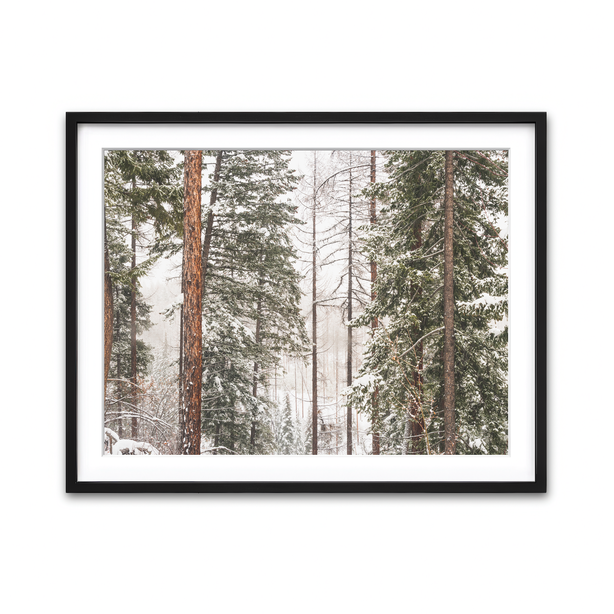 Framed Print 4x3 Black