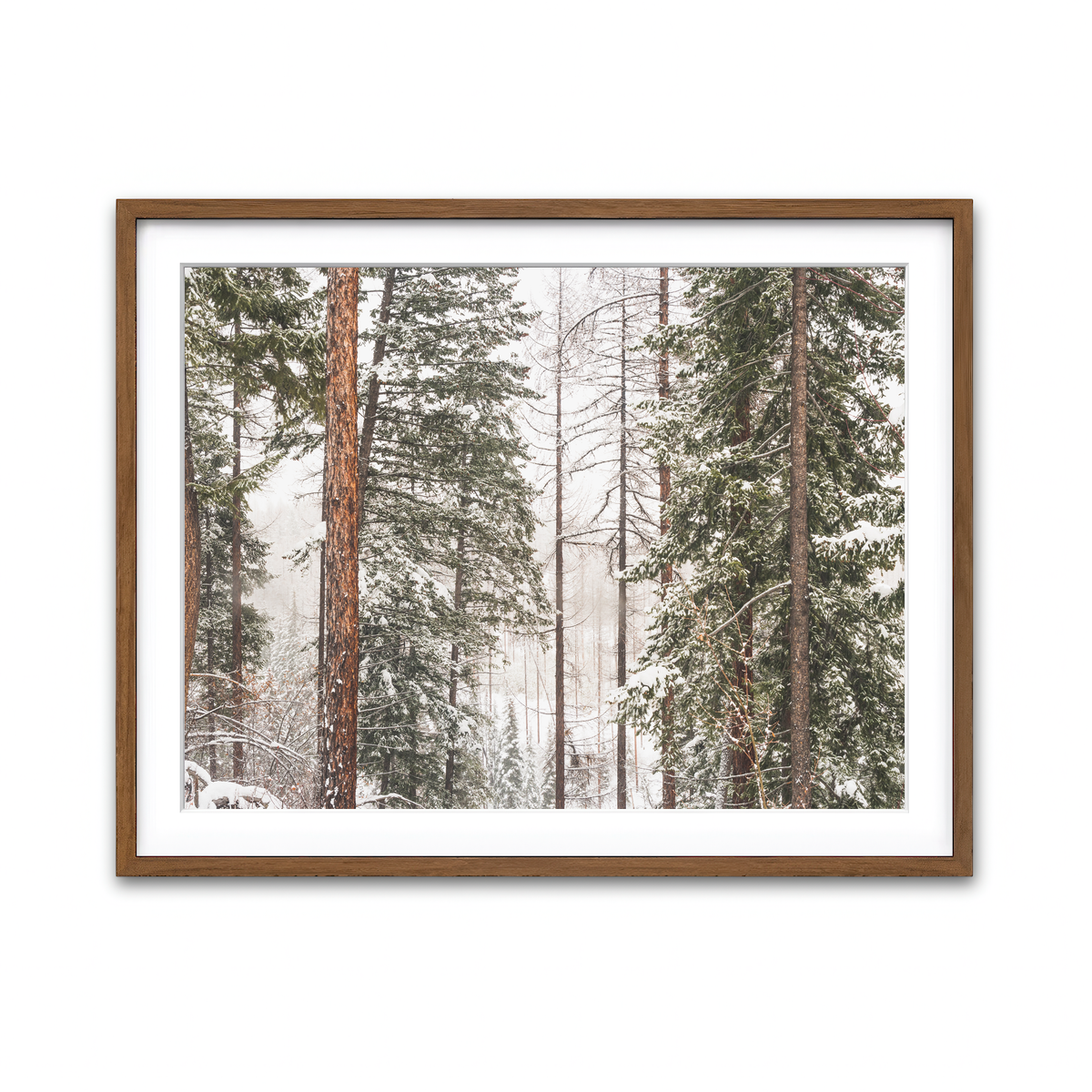 Framed Print 4x3 Walnut