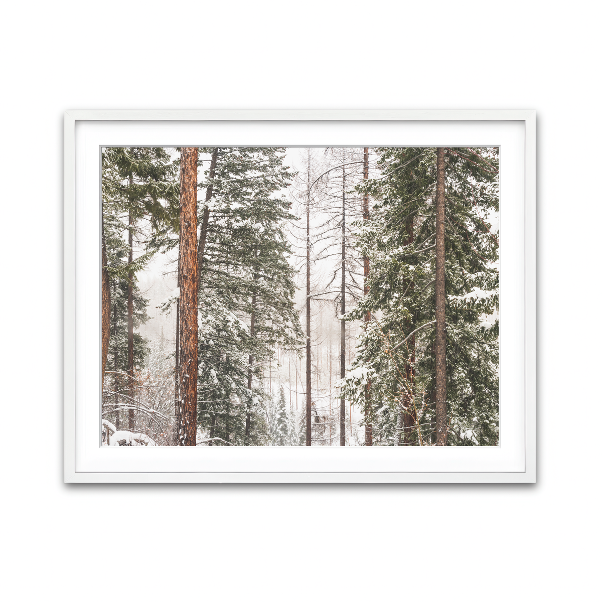 Framed Print 4x3 White