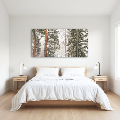 AUTO-MOCKUP ROOM | Snow in Lois Creek