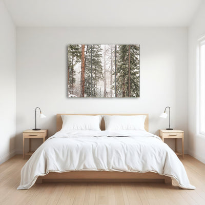 AUTO-MOCKUP ROOM | Snow in Lois Creek