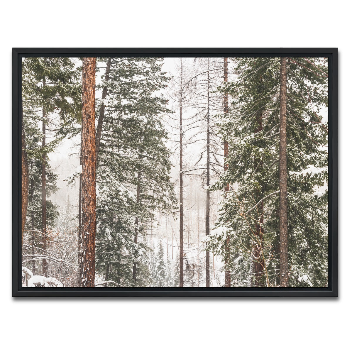 AUTO-MOCKUP WHITE | Snow in Lois Creek | 1 Piece | Black Framed Canvas | group=4x3