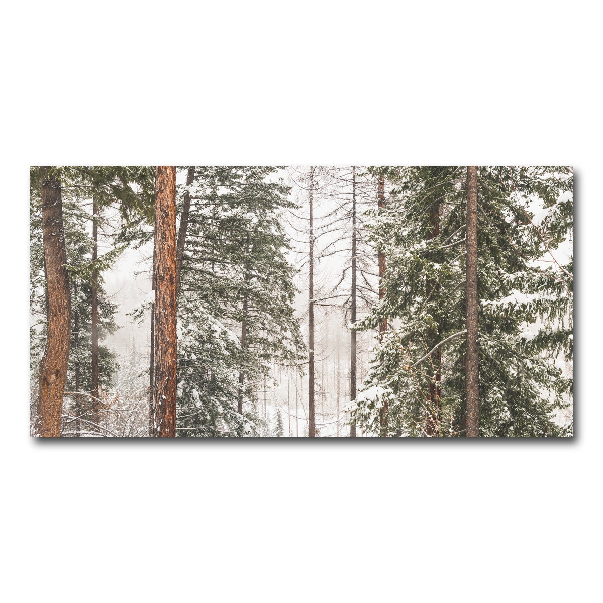 AUTO-MOCKUP WHITE | Snow in Lois Creek | 1 Piece | Gallery Wrap Canvas | group=2x1