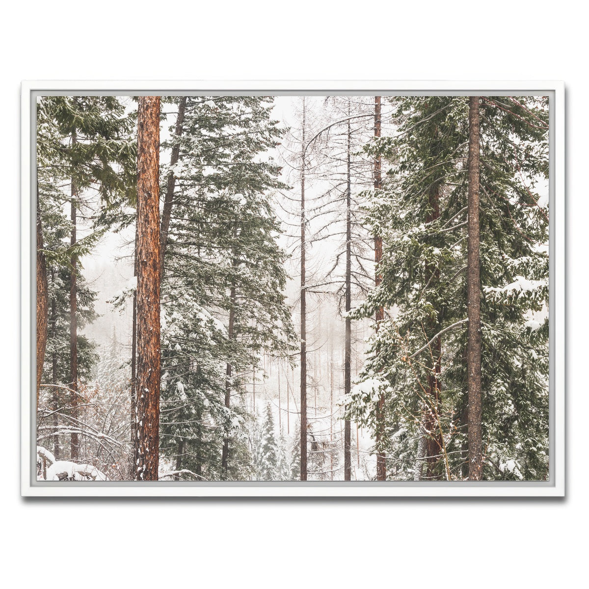AUTO-MOCKUP WHITE | Snow in Lois Creek | 1 Piece | White Framed Canvas | group=4x3