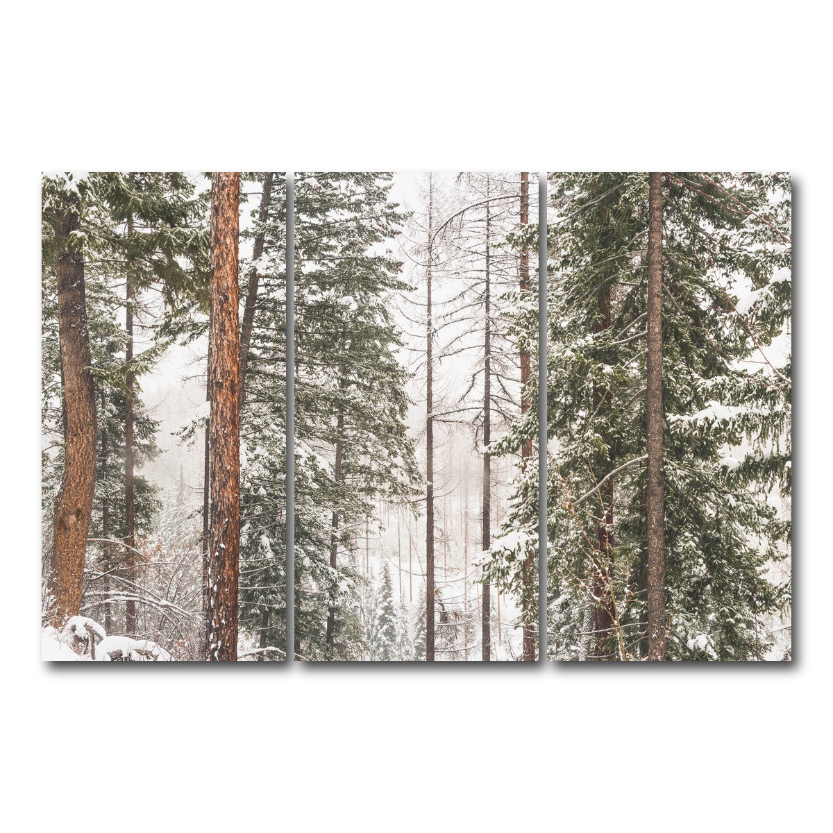 AUTO-MOCKUP WHITE | Snow in Lois Creek | 3 Piece | Gallery Wrap Canvas | group=12x24