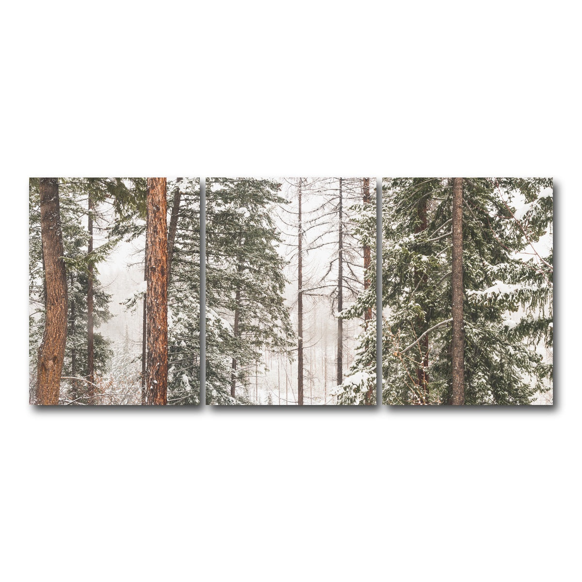 AUTO-MOCKUP WHITE | Snow in Lois Creek | 3 Piece | Gallery Wrap Canvas | group=18x24