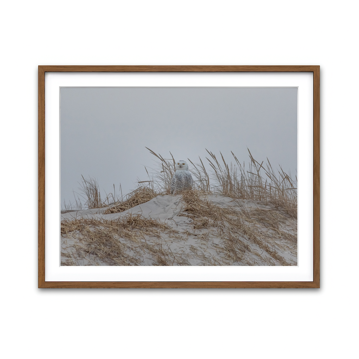 Framed Print 4x3 Walnut