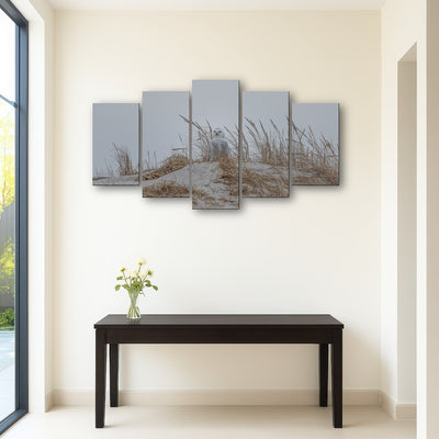 AUTO-MOCKUP ROOM | Snowy Owl