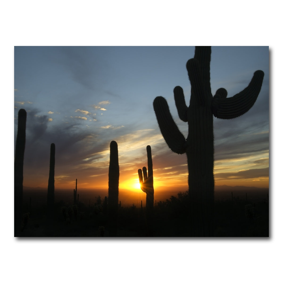 AUTO-MOCKUP WHITE | Sonoran Desert Sunset | 1 Piece | Gallery Wrap Canvas | group=4x3