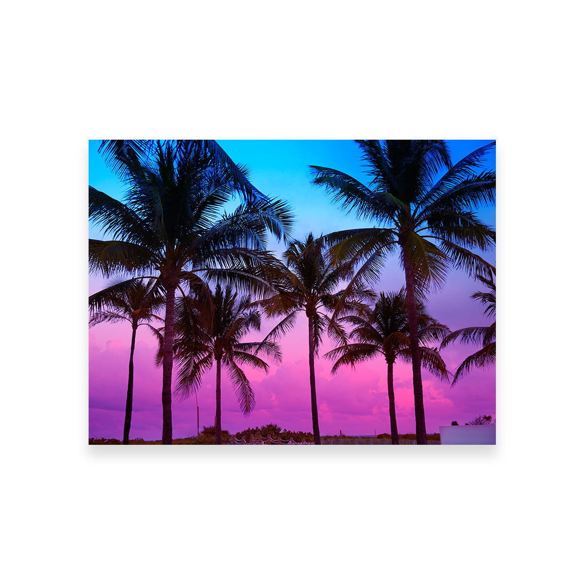 South Beach Sunset Wall Art