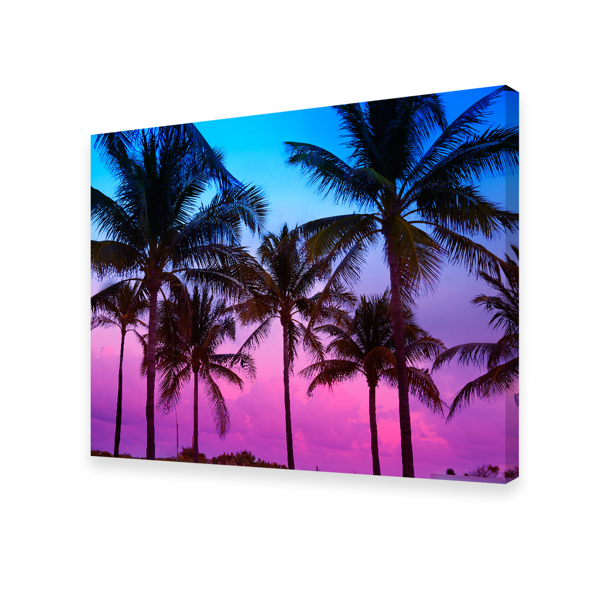 South Beach Sunset Wall Art