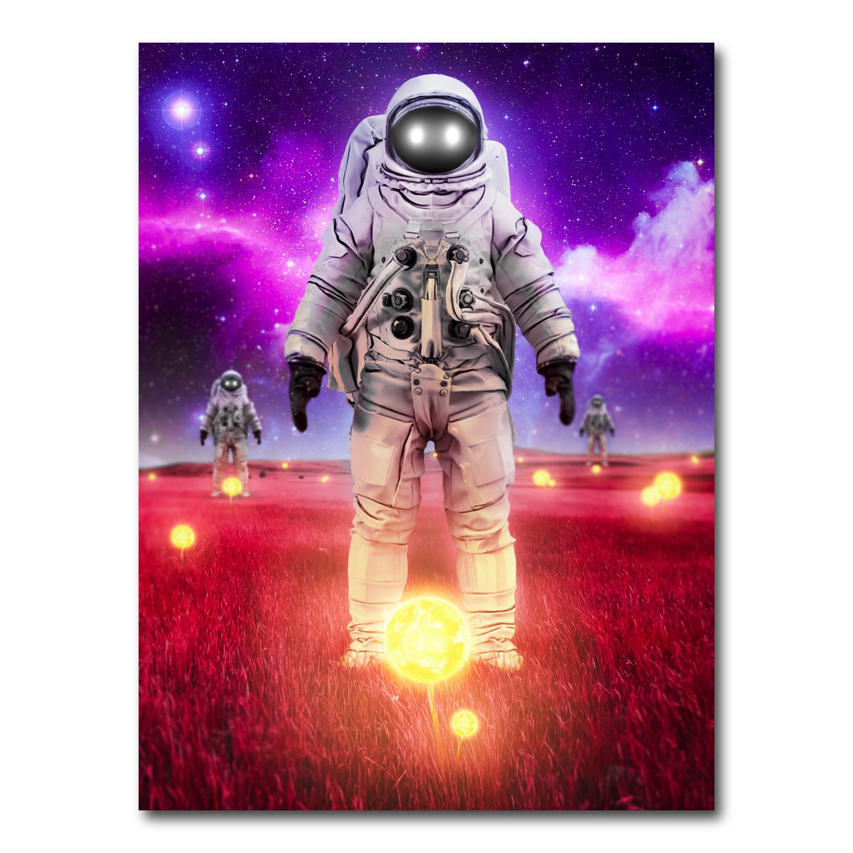 AUTO-MOCKUP WHITE | Space sunflowers | 1 Piece | Gallery Wrap Canvas | group=3x4