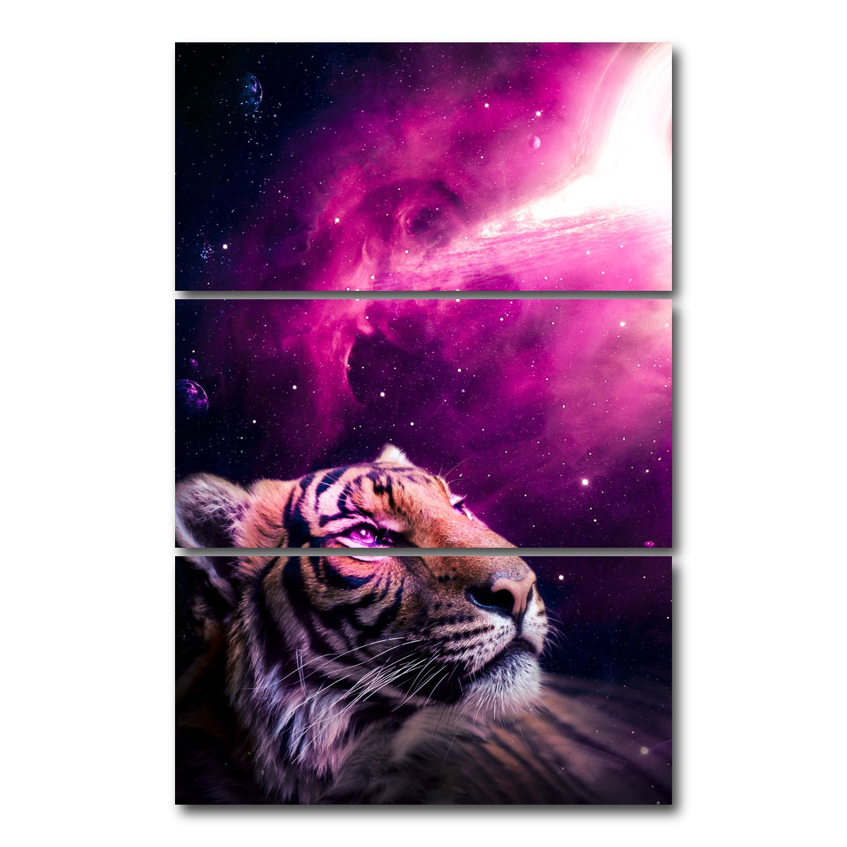 AUTO-MOCKUP WHITE | Space tiger | 3 Piece | Gallery Wrap Canvas | group=12x24_stacked