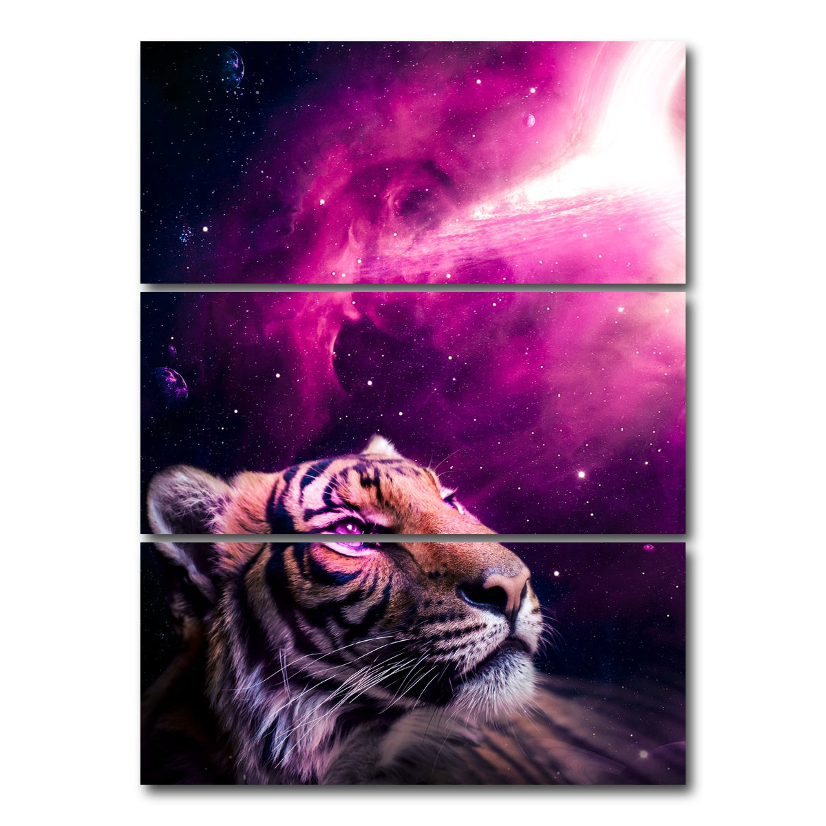AUTO-MOCKUP WHITE | Space tiger | 3 Piece | Gallery Wrap Canvas | group=8x18_stacked