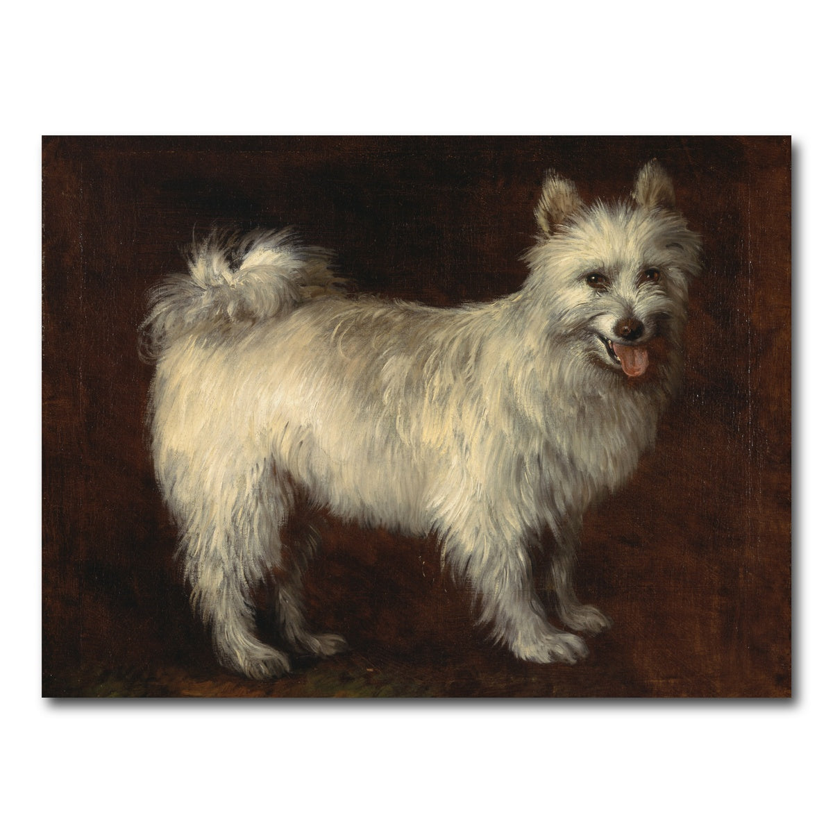 AUTO-MOCKUP WHITE | Spitz Dog | 1 Piece | Gallery Wrap Canvas | group=4x3