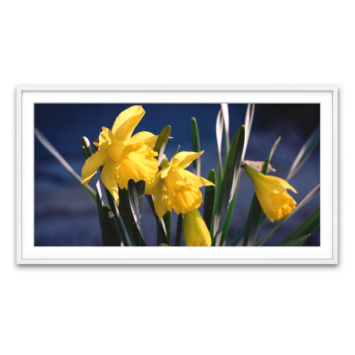 Framed Print 2x1 White