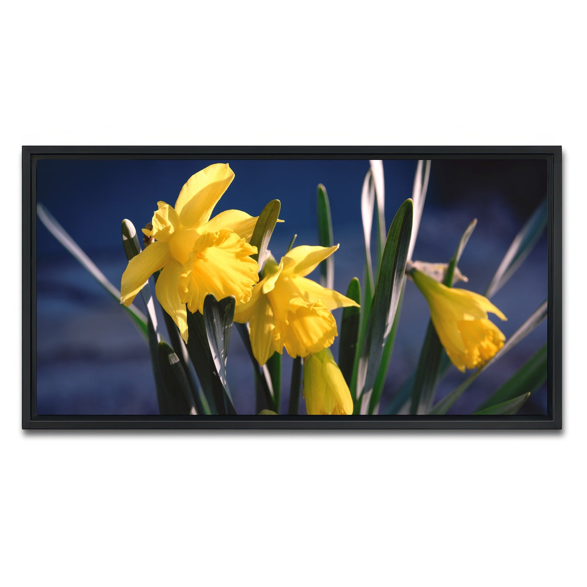AUTO-MOCKUP WHITE | Spring Bloom | 1 Piece | Black Framed Canvas | group=2x1
