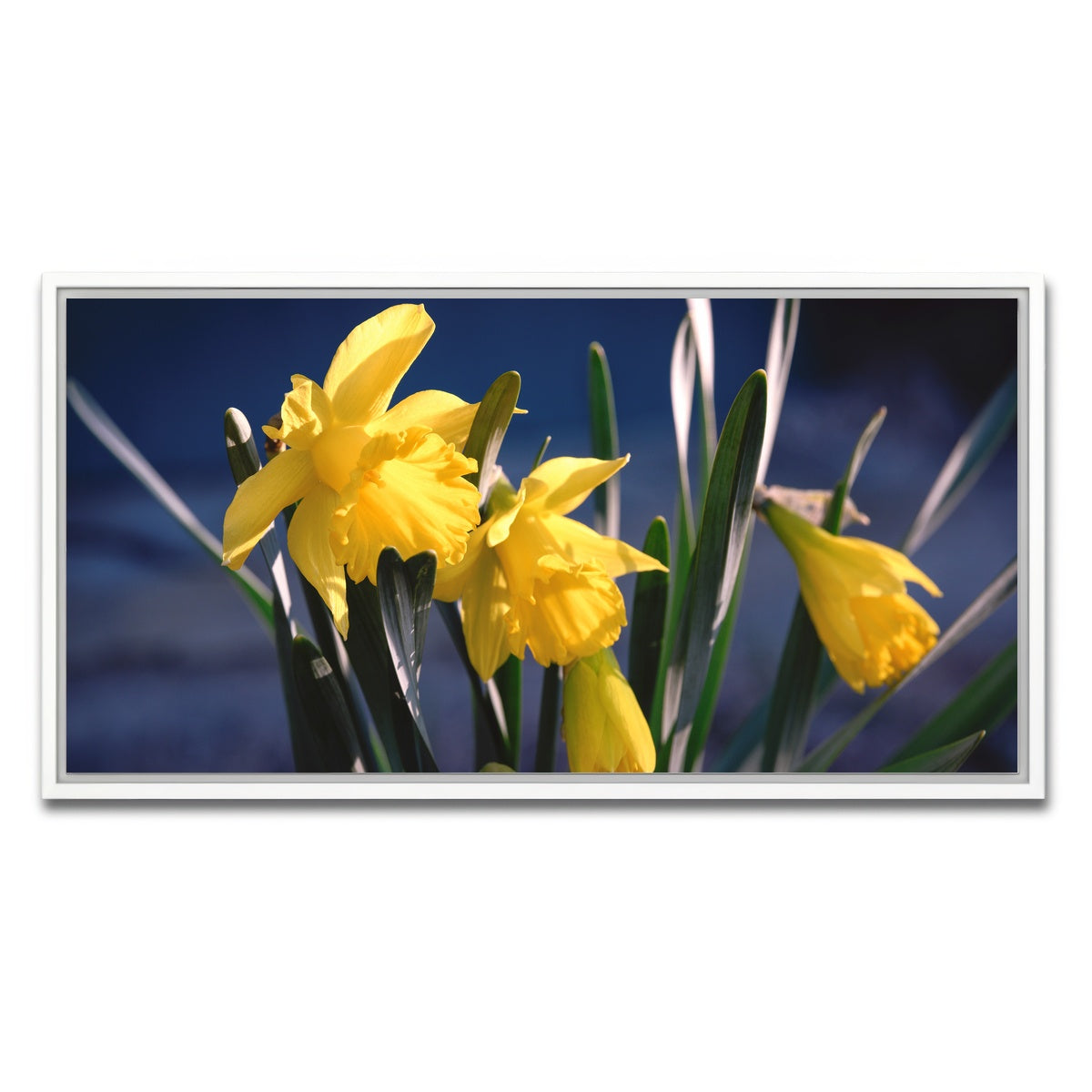 AUTO-MOCKUP WHITE | Spring Bloom | 1 Piece | White Framed Canvas | group=2x1