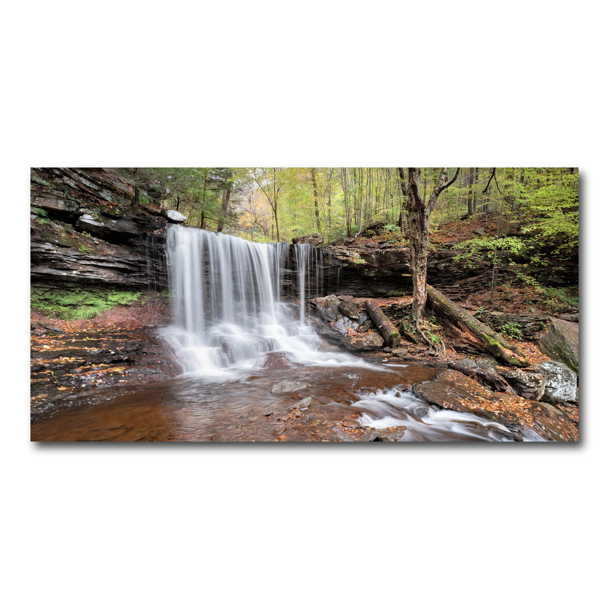 AUTO-MOCKUP WHITE | Spring Time in the Fall | 1 Piece | Gallery Wrap Canvas | group=2x1