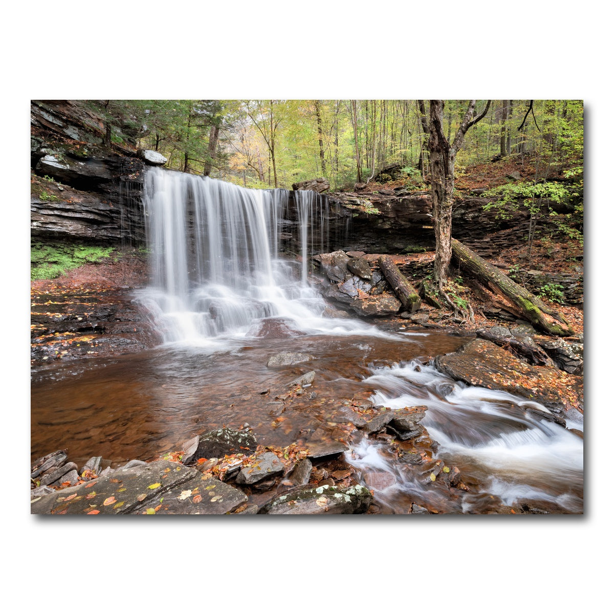 AUTO-MOCKUP WHITE | Spring Time in the Fall | 1 Piece | Gallery Wrap Canvas | group=4x3