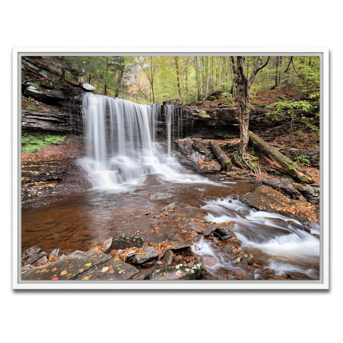 AUTO-MOCKUP WHITE | Spring Time in the Fall | 1 Piece | White Framed Canvas | group=4x3
