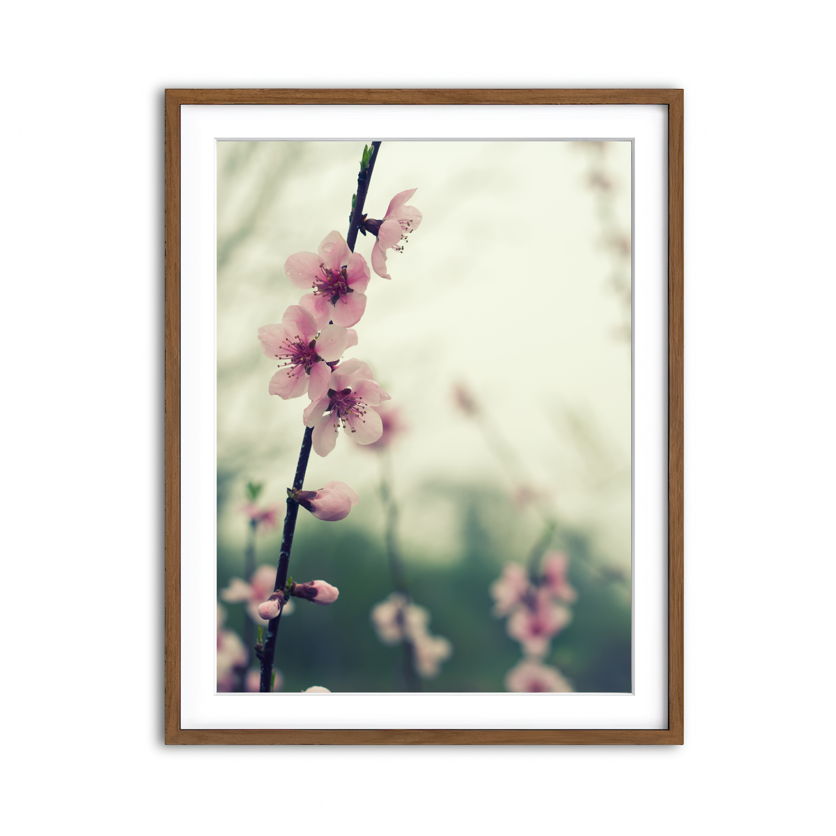 Framed Print 3x4 Walnut