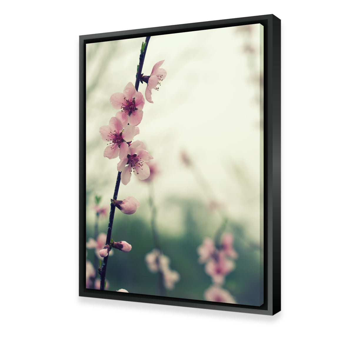 Spring Blossom Wall Art