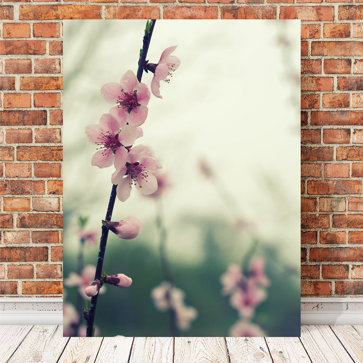 Spring Blossom Wall Art