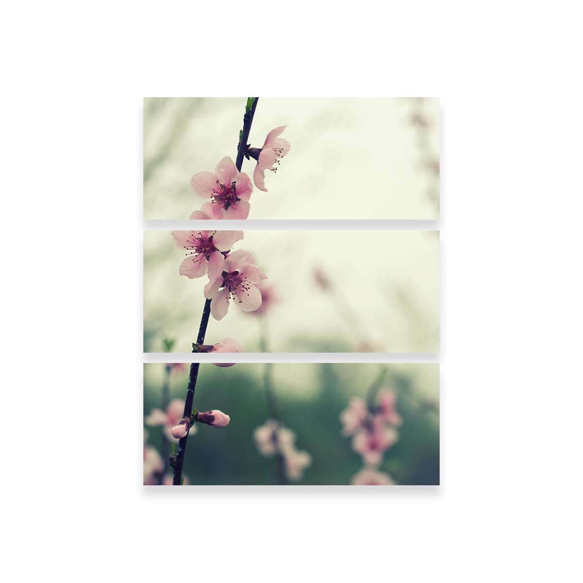 Spring Blossom Wall Art