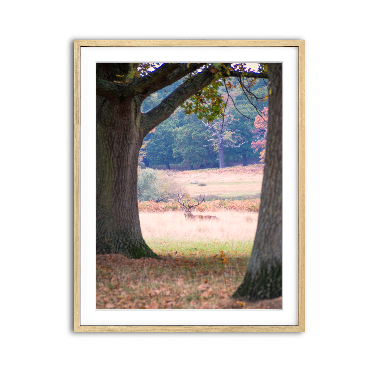 Framed Print 3x4 Natural