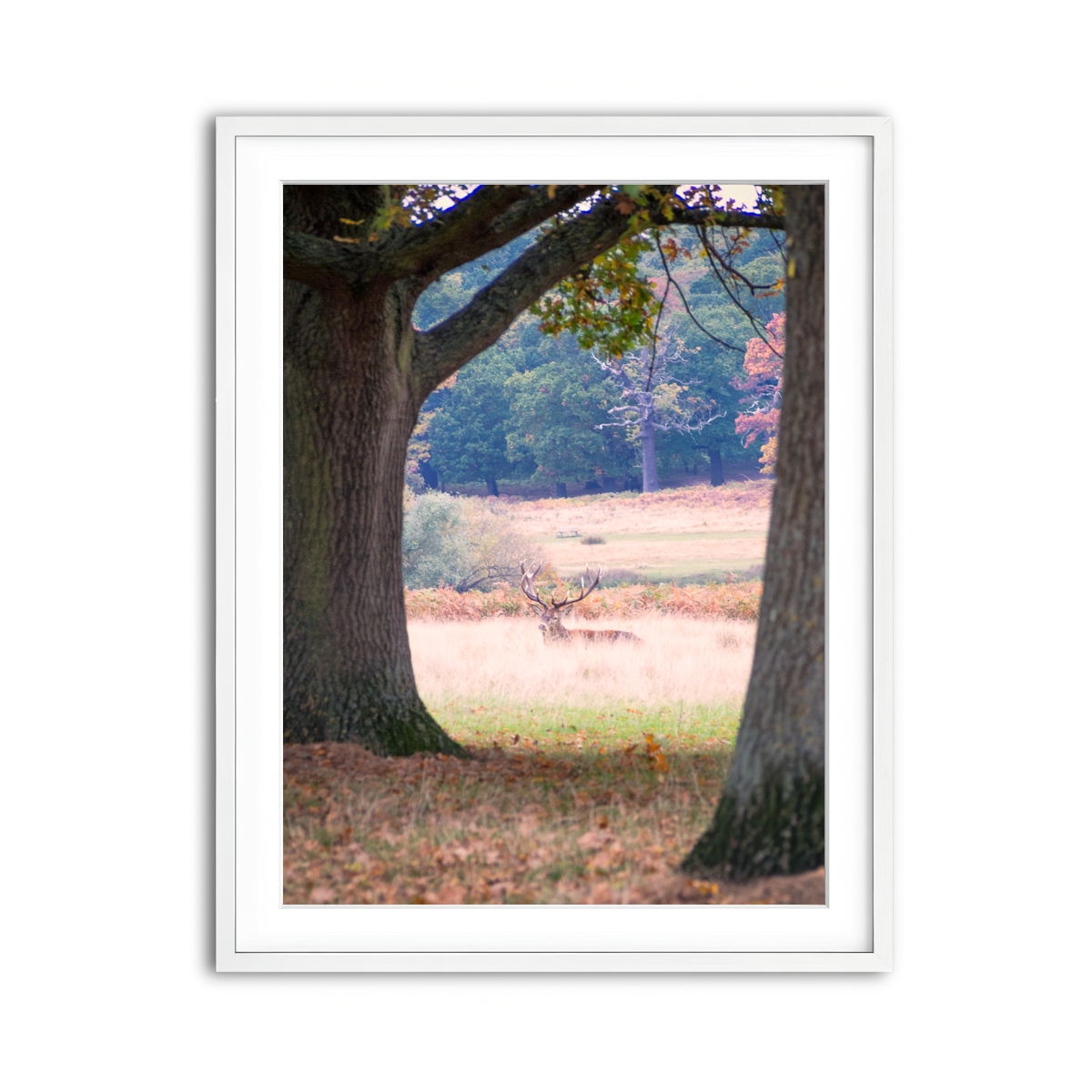 Framed Print 3x4 White
