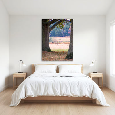 AUTO-MOCKUP ROOM | Stag in Richmond Park