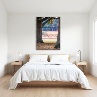 AUTO-MOCKUP ROOM | Stag in Richmond Park