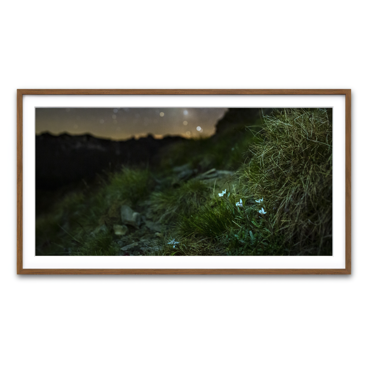 Framed Print 2x1 Walnut