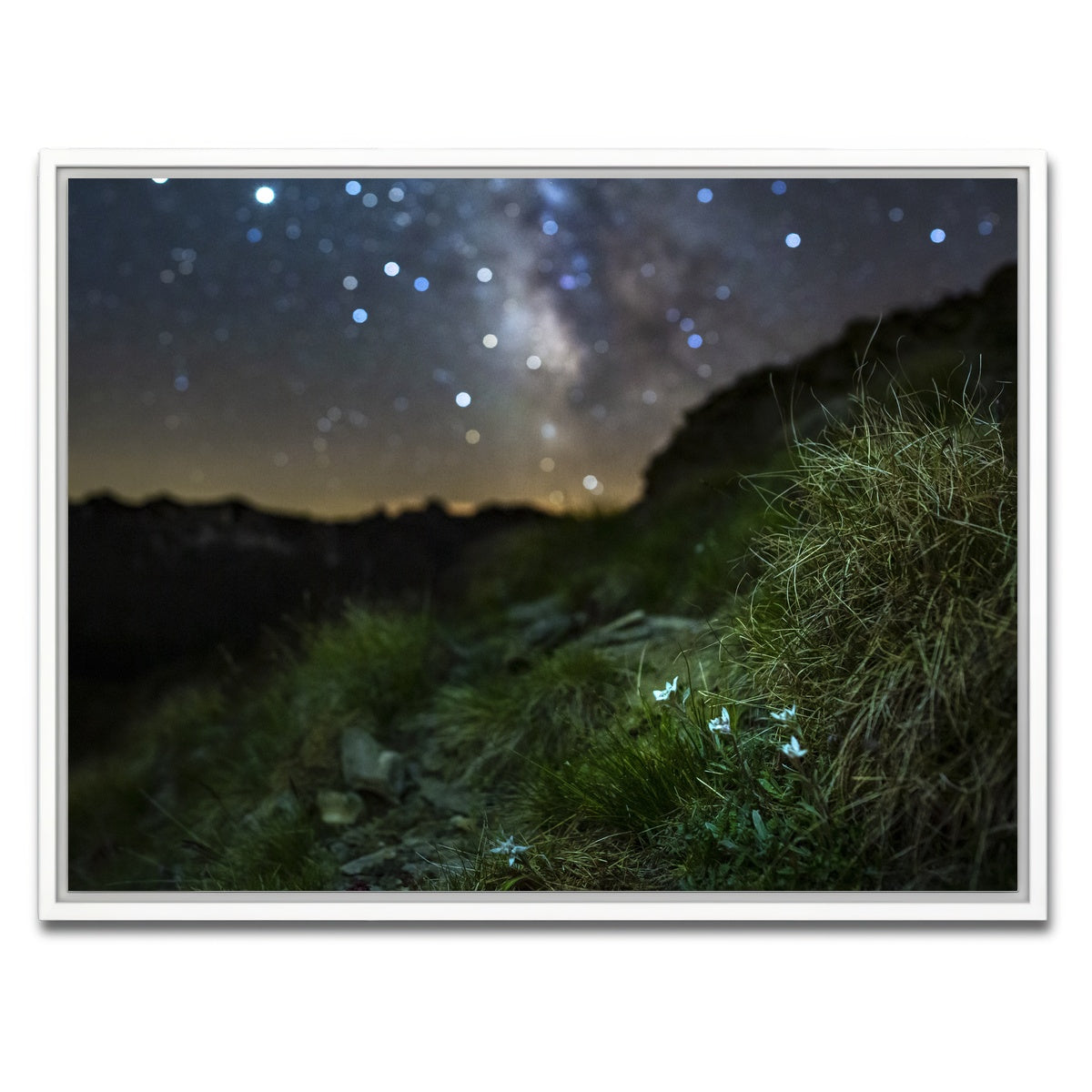 AUTO-MOCKUP WHITE | Star Studded Edelweiss | 1 Piece | White Framed Canvas | group=4x3