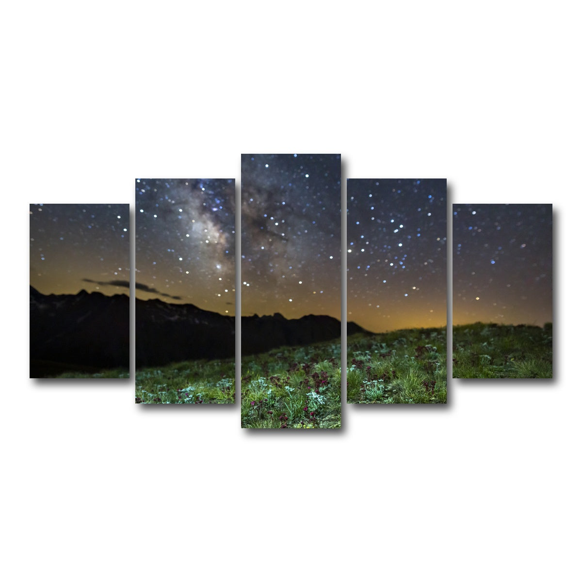 AUTO-MOCKUP WHITE | Star Studded Edelweiss and Joubarbe | 5 Piece | Gallery Wrap Canvas | group=5_normal