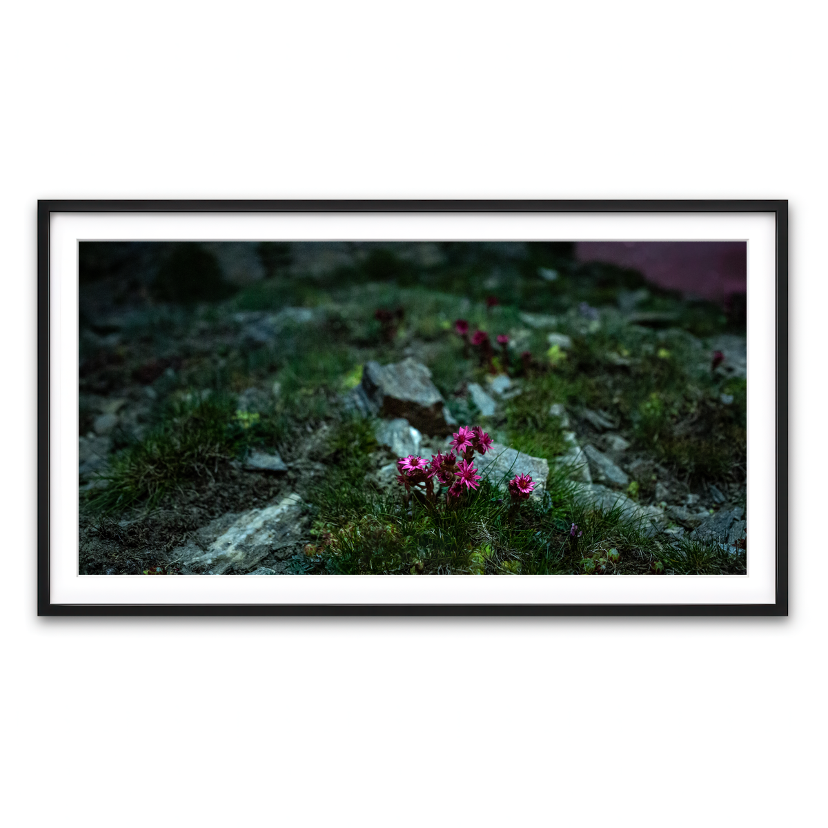 Framed Print 2x1 Black