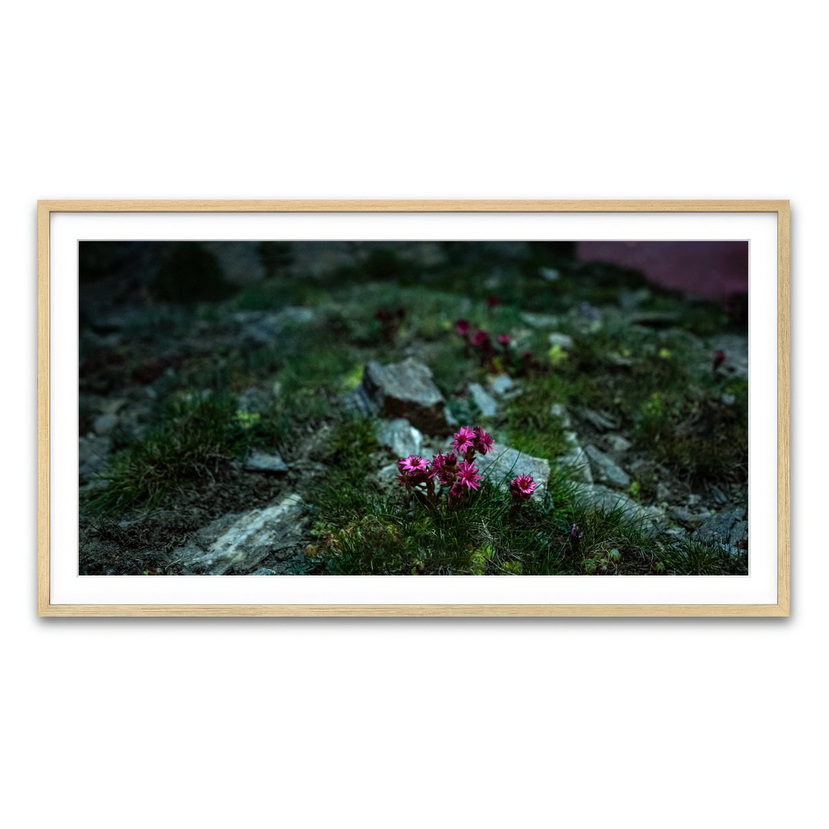 Framed Print 2x1 Natural