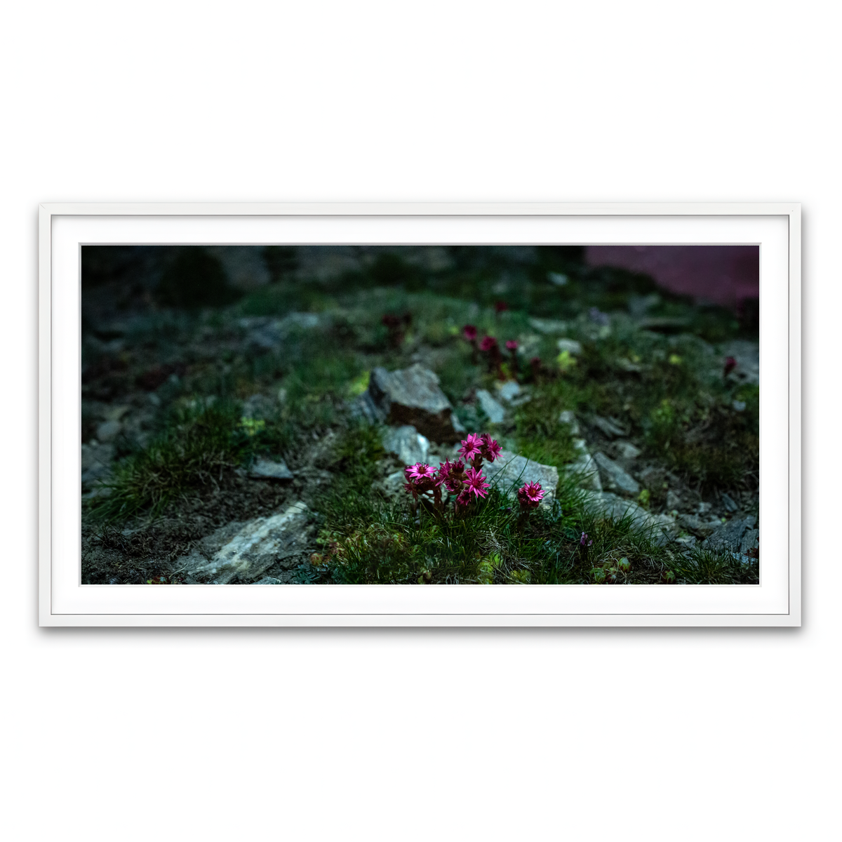 Framed Print 2x1 White