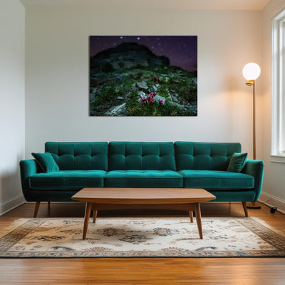 AUTO-MOCKUP ROOM | Star Studded Joubarbe