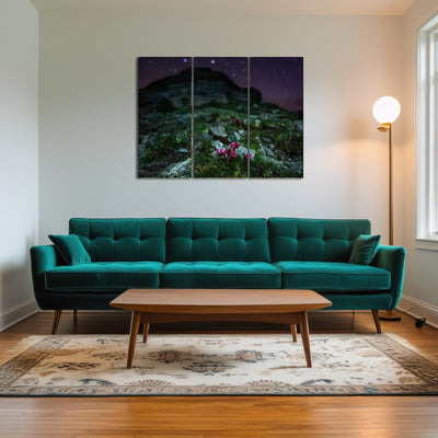 AUTO-MOCKUP ROOM | Star Studded Joubarbe