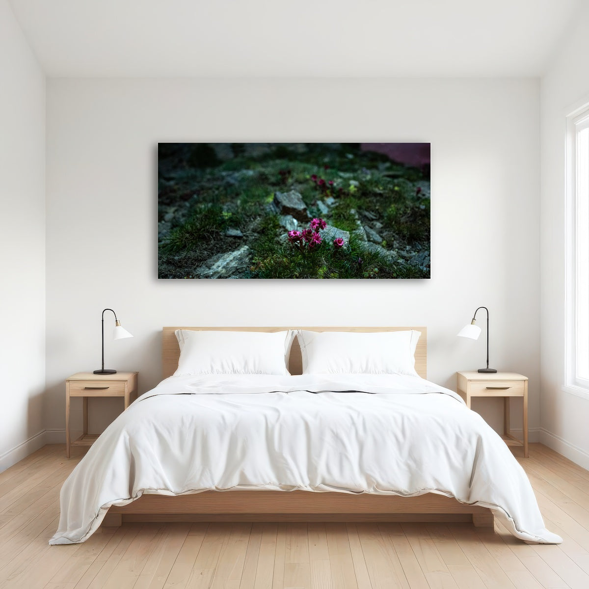 AUTO-MOCKUP ROOM | Star Studded Joubarbe