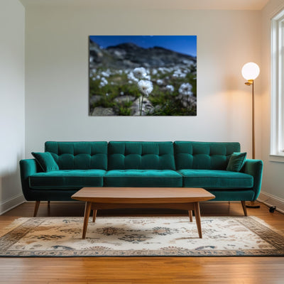 AUTO-MOCKUP ROOM | Star Studded Linaigrette