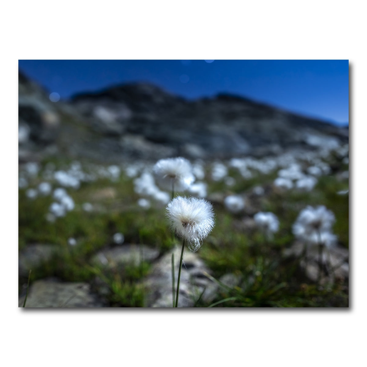 AUTO-MOCKUP WHITE | Star Studded Linaigrette | 1 Piece | Gallery Wrap Canvas | group=4x3