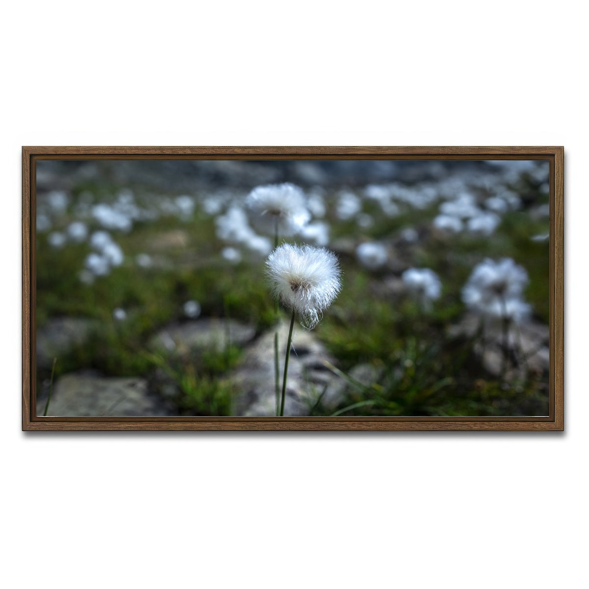 AUTO-MOCKUP WHITE | Star Studded Linaigrette | 1 Piece | Walnut Framed Canvas | group=2x1