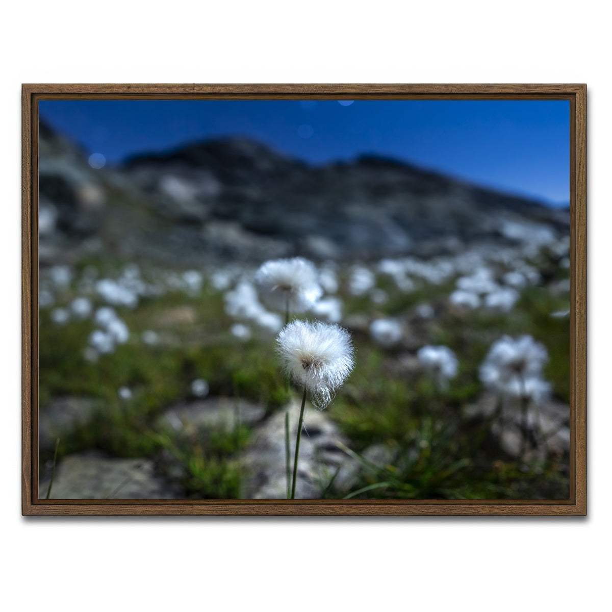 AUTO-MOCKUP WHITE | Star Studded Linaigrette | 1 Piece | Walnut Framed Canvas | group=4x3