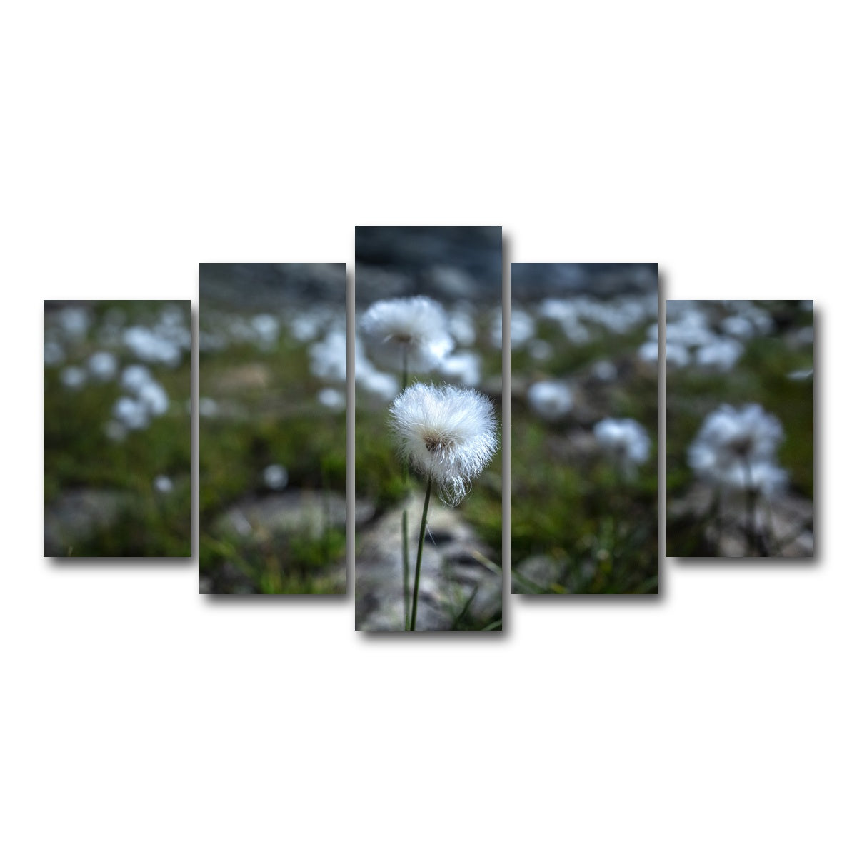 AUTO-MOCKUP WHITE | Star Studded Linaigrette | 5 Piece | Gallery Wrap Canvas | group=5_normal
